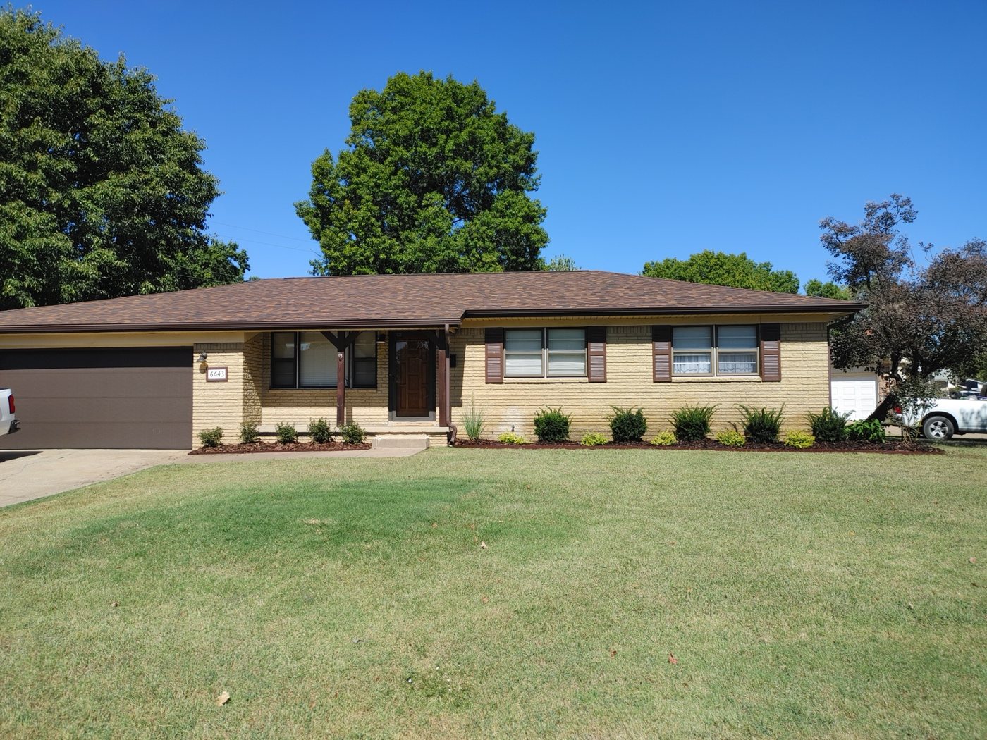 Yard Cleanup & Leaf Removal